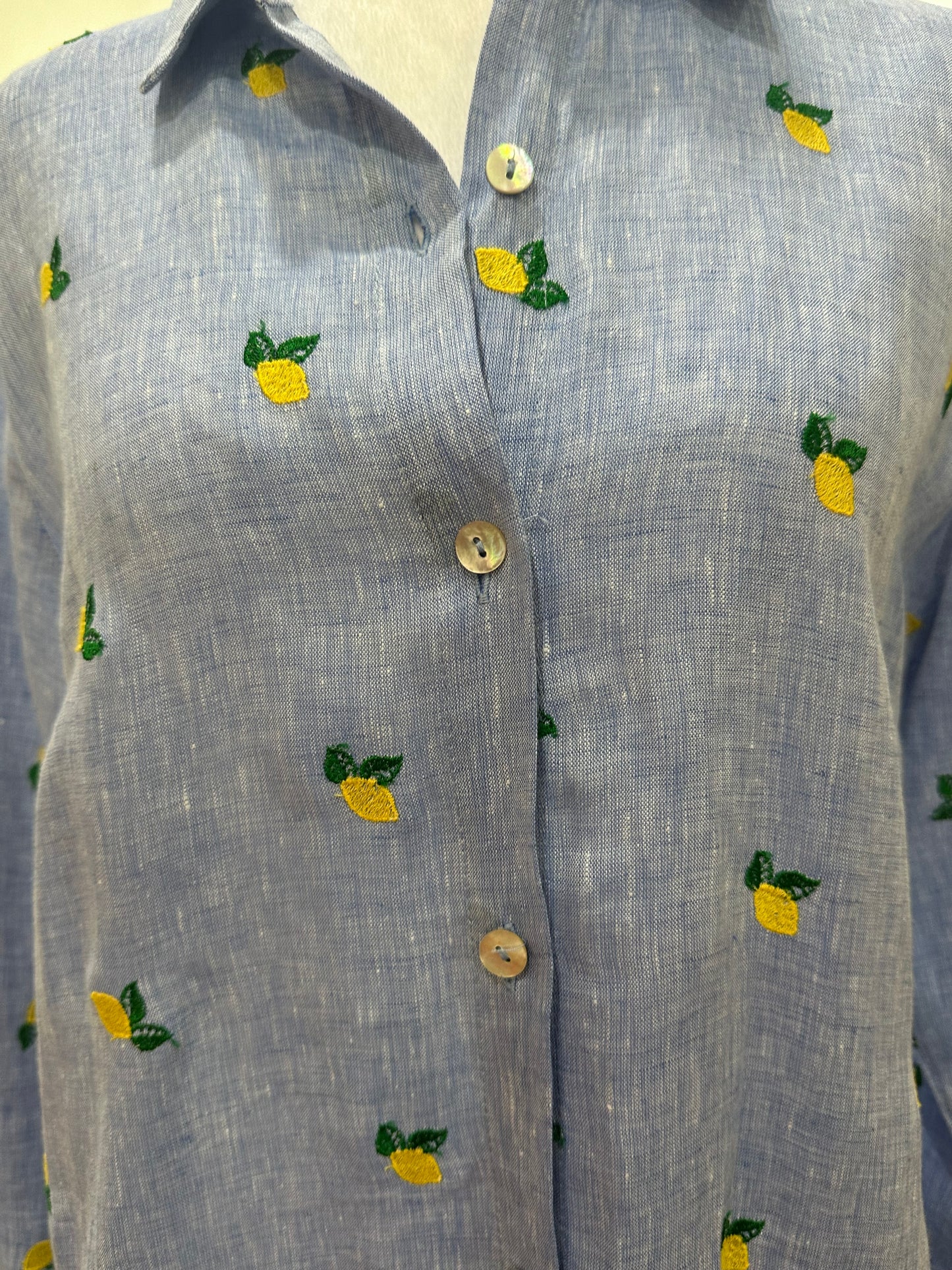 Sartoria Chambray Lemon-Embroidered Maxi Shirt Dress