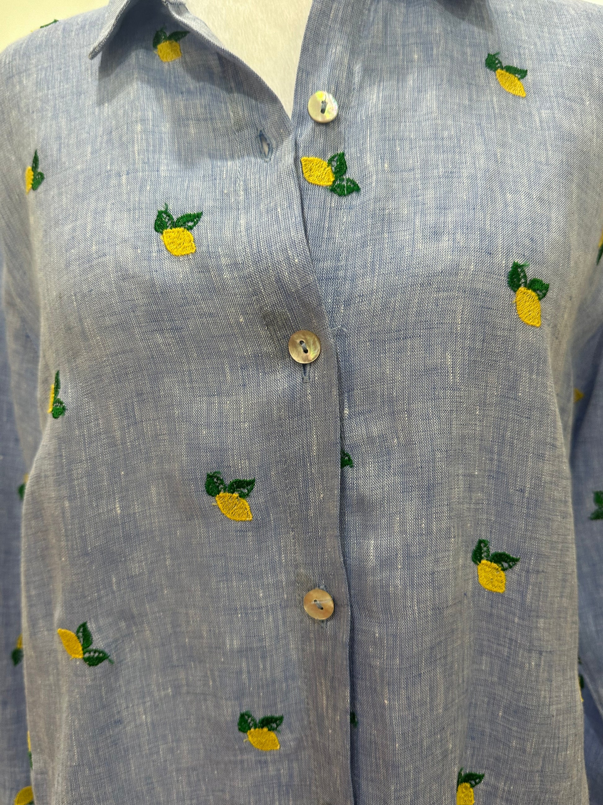 Sartoria Chambray Lemon-Embroidered Maxi Shirt Dress-Dresses-Gazelle Fashion and Style