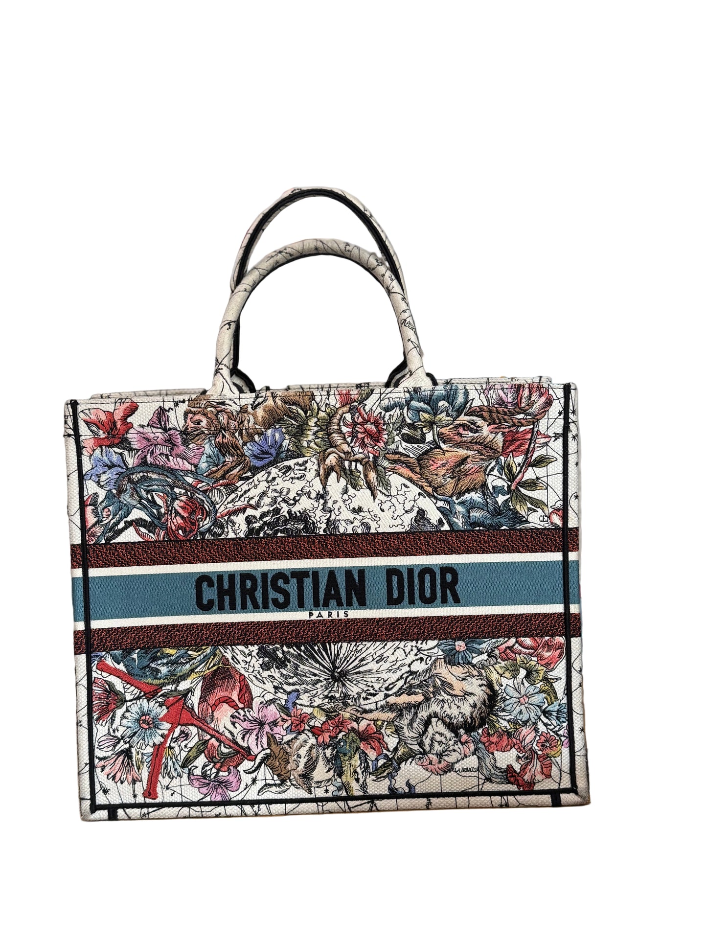 Christian Dior Book Tote
