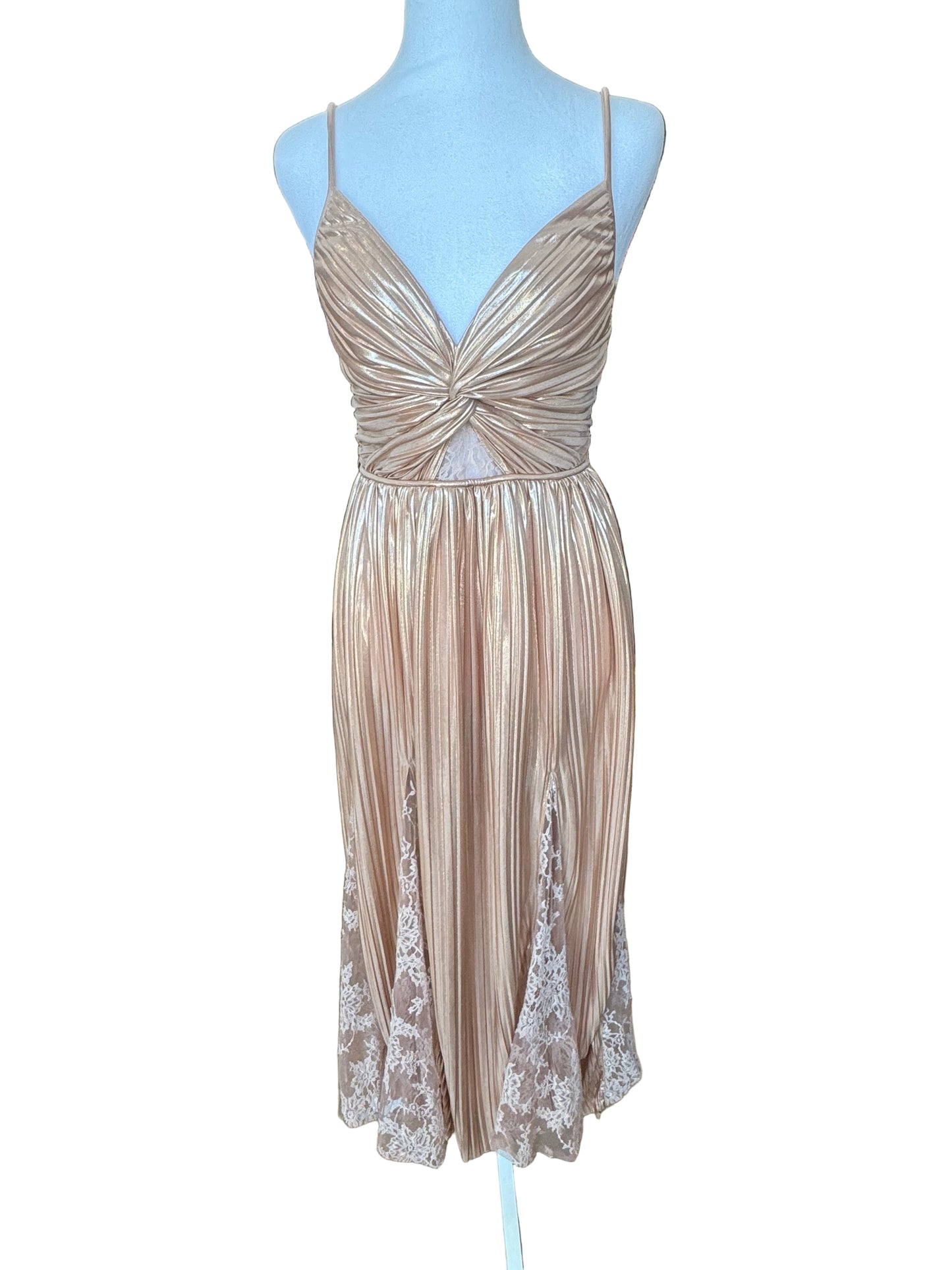 Sabina Musayev Metallic Pleated Dress