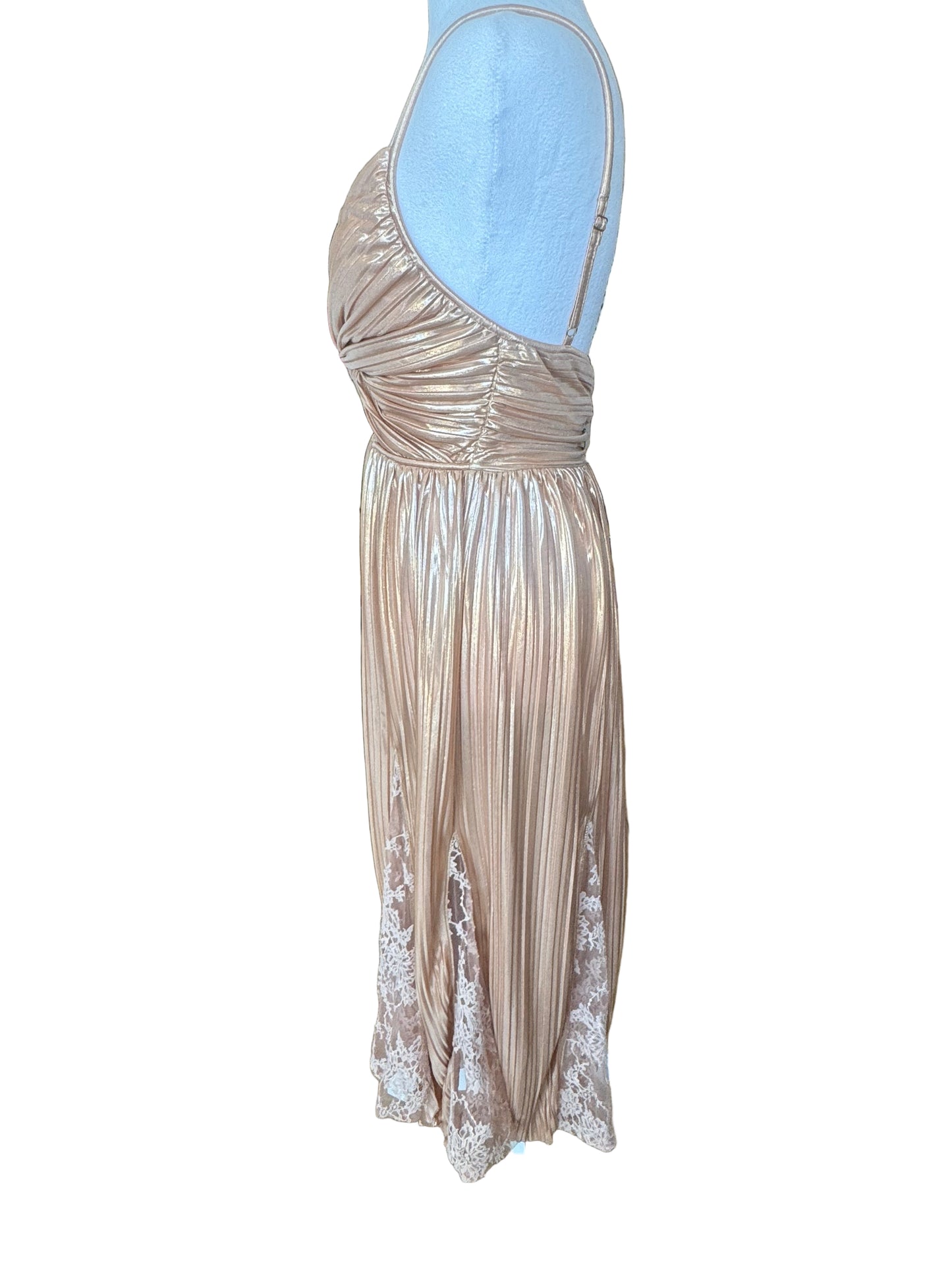 Sabina Musayev Metallic Pleated Dress