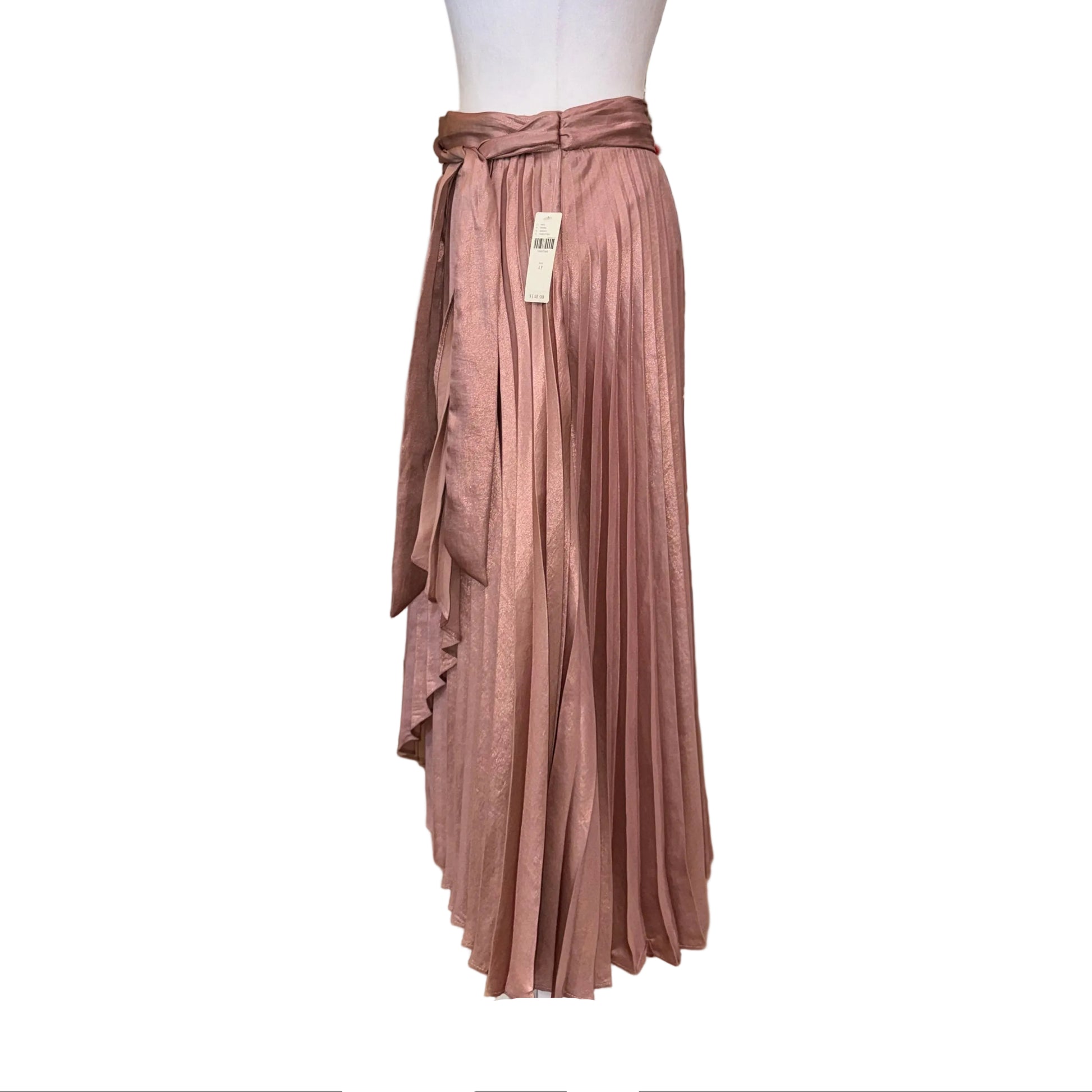 Anthropologie Maxi Pleated Skirt-SKIRT-Gazelle Fashion and Style