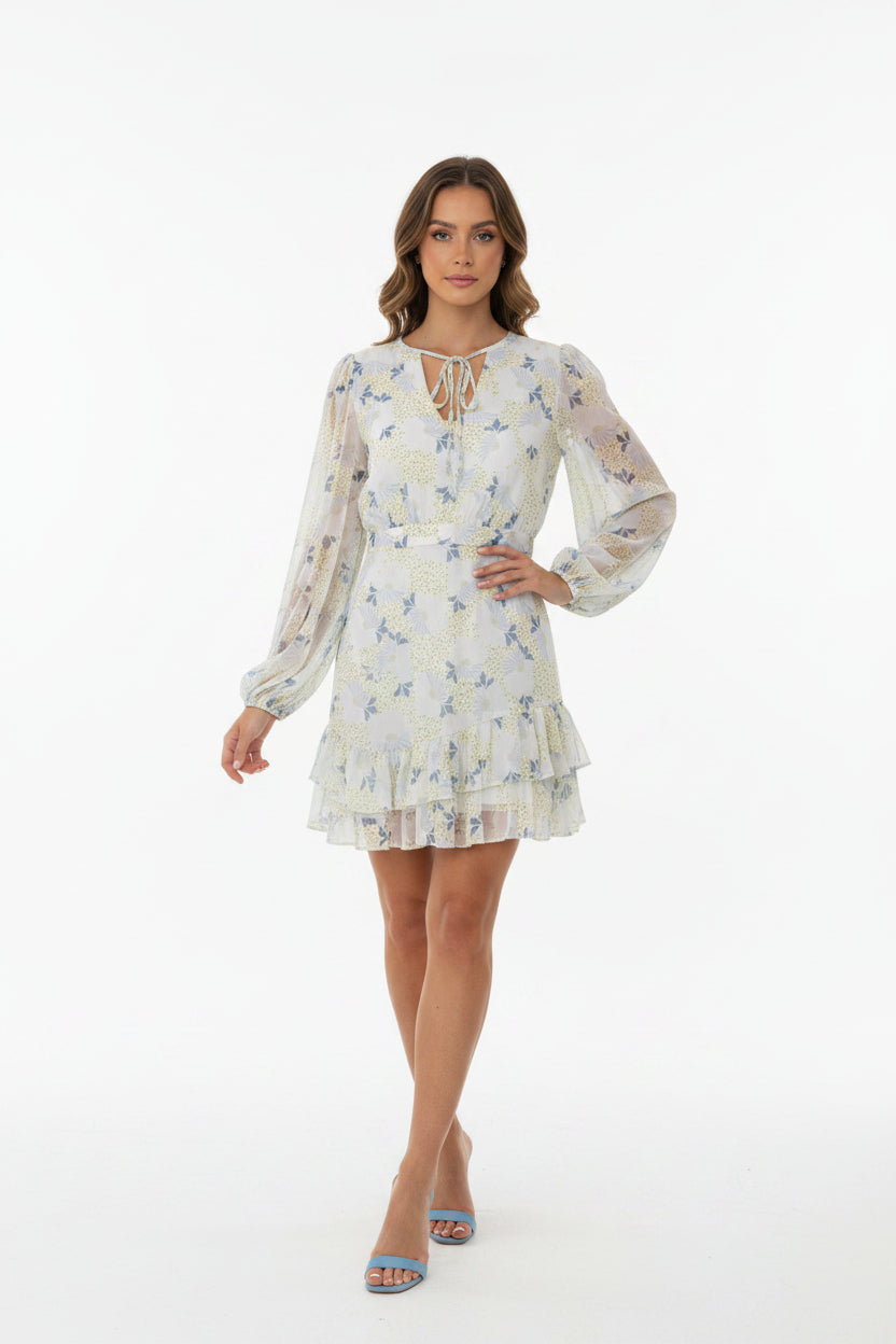 Ted Baker Waisted Suzzie Mini Dress- Gazelle Fashion and Style 