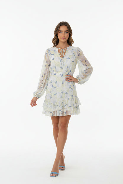 Ted Baker Waisted Suzzie Mini Dress- Gazelle Fashion and Style 