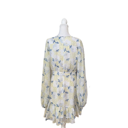 Ted Baker Waisted Suzzie Mini Dress- Gazelle Fashion and Style 