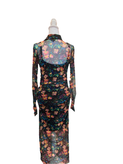 Ted Baker London Sheer Floral Mesh Maxi Dress